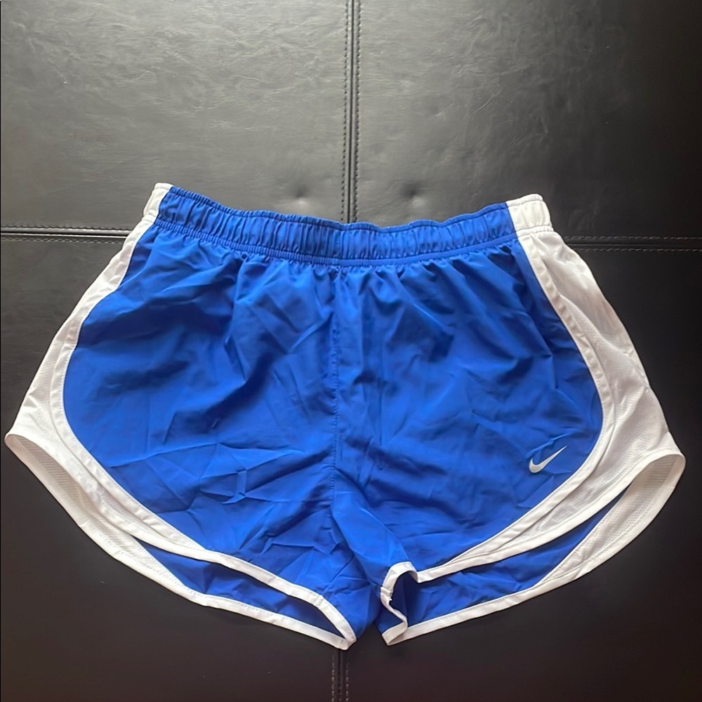 Nike Blue and White Athletic Shorts with Dolphin Hem